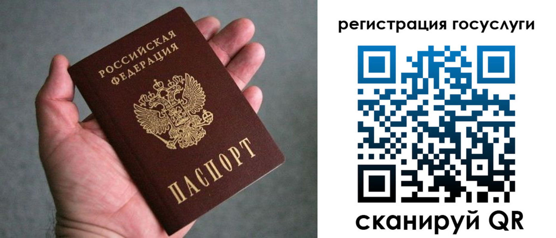 прописка поиск в Называевске